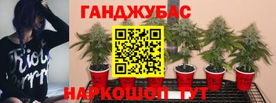 a pvp Пушкино